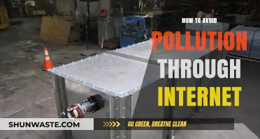 Online Actions: Reducing Pollution's Digital Footprint