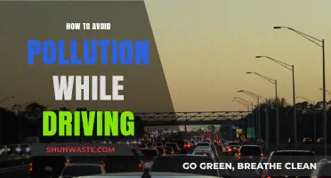 Green Driving: Reduce Your Pollution Footprint