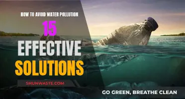 Clean Water, Healthy Planet: 15 Simple Steps to Prevent Water Pollution