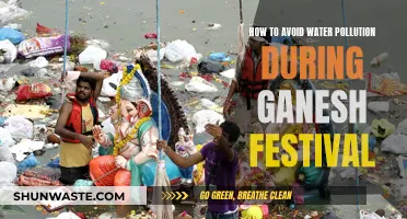 Keep Ganesh Festival Clean: Tips to Prevent Water Pollution