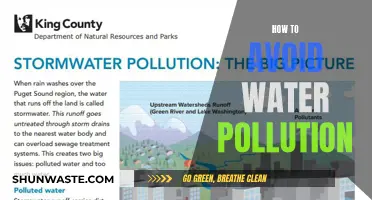 Protecting Our Waters: Simple Steps to Prevent Water Pollution