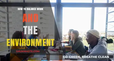 Sustainable Work-Life Balance: Harmonizing Career and Environmental Stewardship
