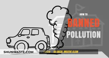 A Greener Future: Banning Pollution for Good