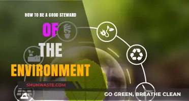 Sustainable Living: Practical Steps to Protect and Preserve Our Planet