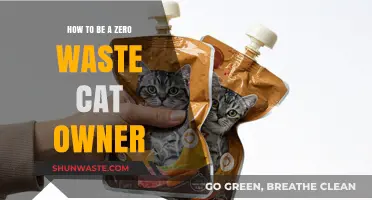 Eco-Friendly Feline Care: Tips for Zero Waste Cat Ownership