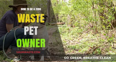 Sustainable Pet Care: Tips for a Zero Waste Pet Lifestyle