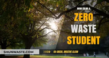 Sustainable Student Life: Practical Tips for Zero Waste Campus Living