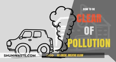 Protecting Ourselves from Pollution: Tips for Staying Healthy