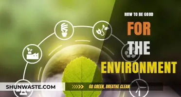 Sustainable Living: Simple Steps to Protect Our Planet Every Day