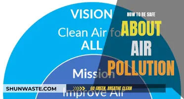 Protecting Yourself from Air Pollution: A Guide