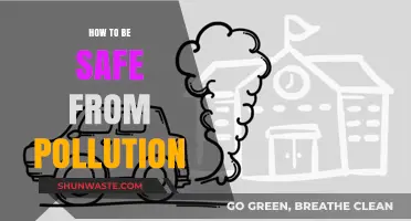 Protecting Yourself from Pollution: A Guide