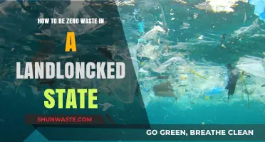 Sustainable Living: Zero Waste Tips for Landlocked States
