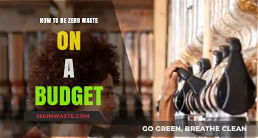 Affordable Zero Waste Living: Simple Budget-Friendly Tips for Eco-Friendly Success