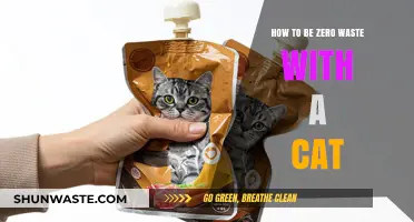 Eco-Friendly Feline Living: Zero Waste Tips for Cat Owners