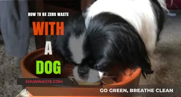 Eco-Friendly Pet Parenting: Zero Waste Tips for Dog Owners