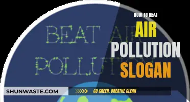 Air Pollution: Fight the Smog with a Few Simple Steps