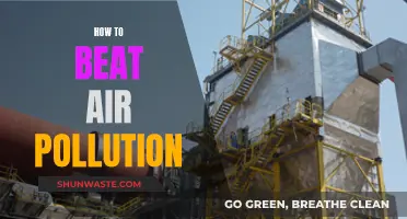 Fight Air Pollution: Practical Steps to Breathe Easier