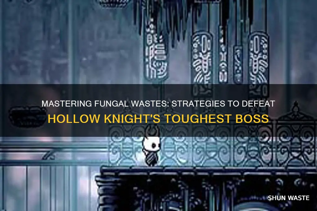 how to beat fungal wastes hollow knight