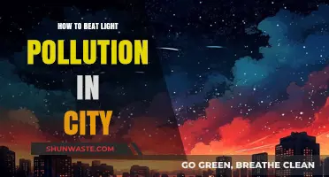Light Pollution: Strategies for Dark Skies