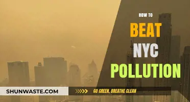 Breathe Easy: Beat NYC Pollution with These Tips