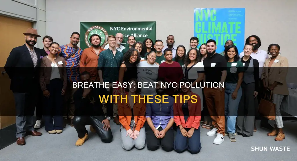how to beat nyc pollution