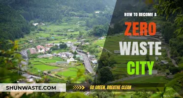 Transforming Urban Living: A Guide to Achieving Zero Waste Cities