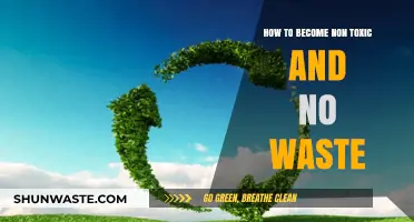 Embrace a Sustainable Lifestyle: Tips for Going Non-Toxic and Zero Waste