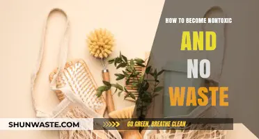 Embrace a Greener Lifestyle: Tips for Becoming Nontoxic and Waste-Free
