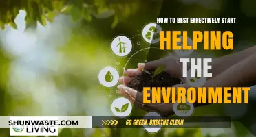 Simple Steps to Kickstart Your Eco-Friendly Lifestyle Journey Today