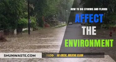 Big Storms and Floods: Environmental Impacts and Long-Term Effects