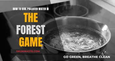 Surviving the Forest: Purifying Water in a Post-Apocalyptic Game