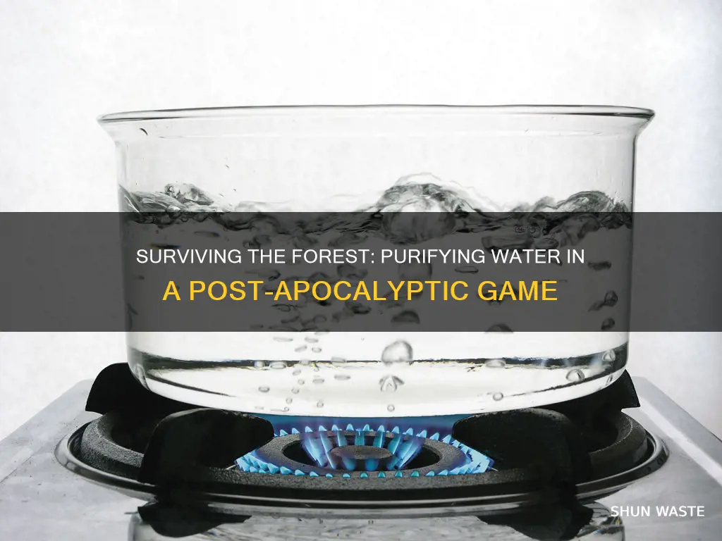 how to boil polluted water in the forest game