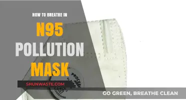 Breathing Safely: N95 Masks and Pollution