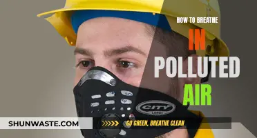 Breathing Polluted Air: Tips for Staying Safe and Healthy