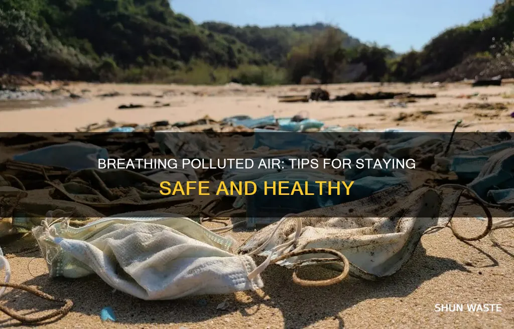 how to breathe in polluted air