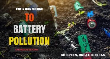 Battery Pollution: The Hidden Crisis Demanding Attention