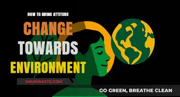 Transforming Mindsets: Cultivating a Sustainable Attitude Towards Our Environment