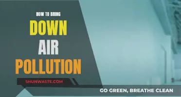 Strategies to Reduce Air Pollution and Breathe Easier