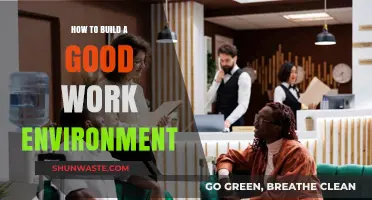 Creating a Positive Workplace: Strategies for Building a Great Work Environment