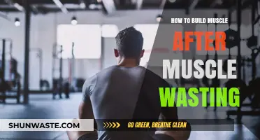 Rebuilding Strength: Effective Strategies to Reverse Muscle Wasting and Gain Mass