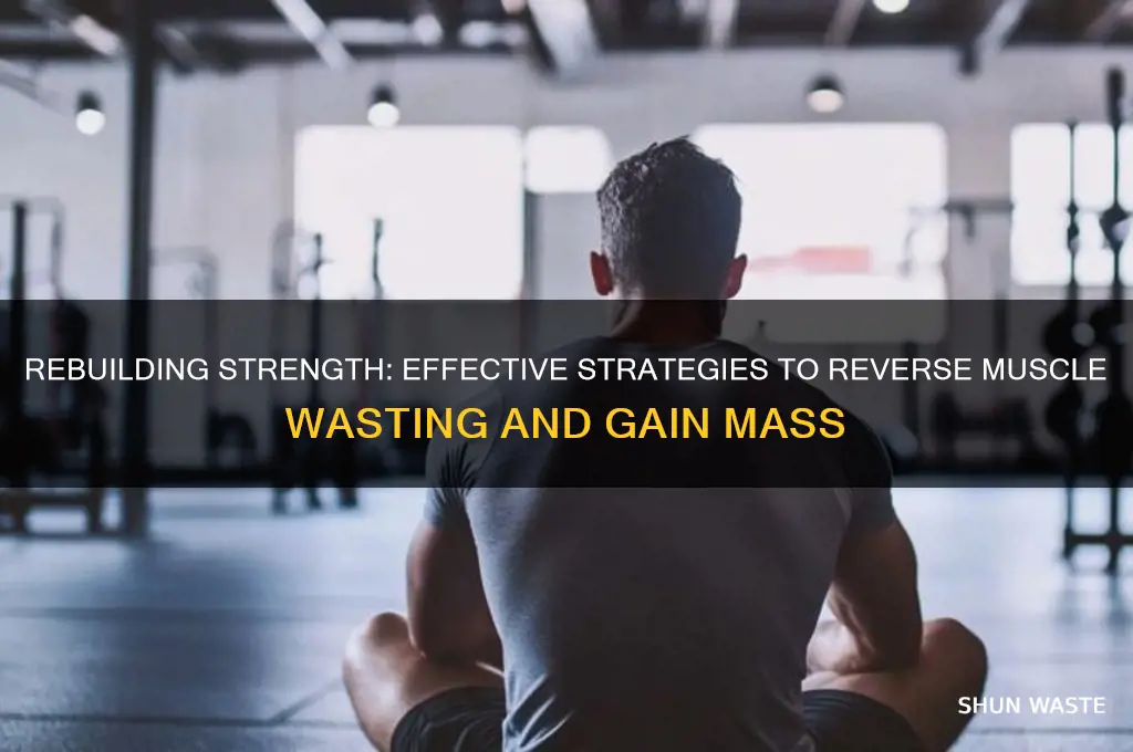 how to build muscle after muscle wasting