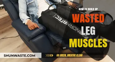 Rebuilding Wasted Leg Muscles: Effective Strategies for Strength and Recovery