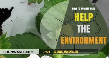 Bumble Bees' Vital Role in Pollination and Environmental Health