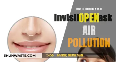 Combat Air Pollution to Prevent Harmful Health Effects