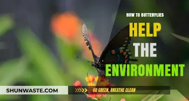 Butterflies' Vital Role: Pollination, Biodiversity, and Ecosystem Health Explained