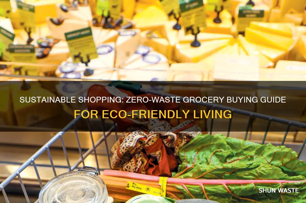 how to buy groceries with zero waste