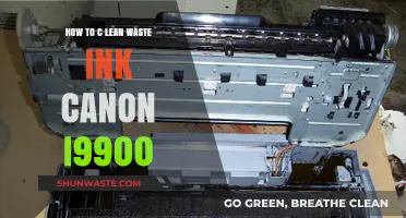 Effective Steps to Clean Waste Ink on Canon i9900 Printer