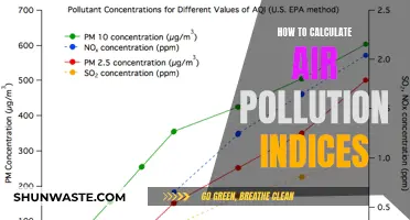 Air Pollution Index Calculation: A Comprehensive Guide