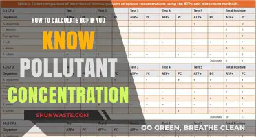 Calculating BCF: Pollutant Concentrations and You