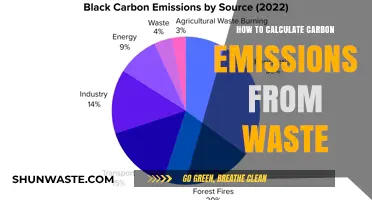 Calculate Waste Carbon Emissions: A Step-by-Step Guide for Sustainability
